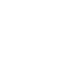 Rocket Icon